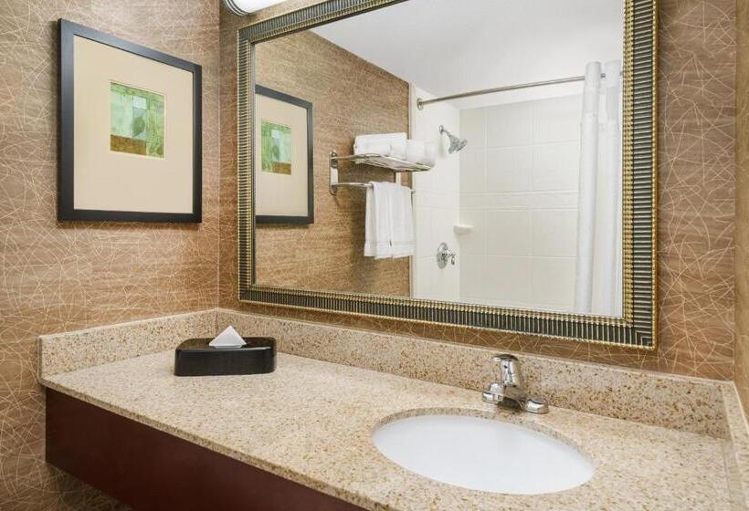 Номер Стандарт Кровать Кинг Адаптированный для Инвалидов, Holiday Inn Express Boston Brockton, An Ihg