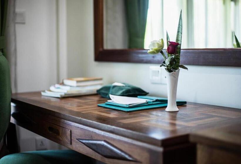 اتاق سوپریور با چشم‌انداز شهر, Pierre