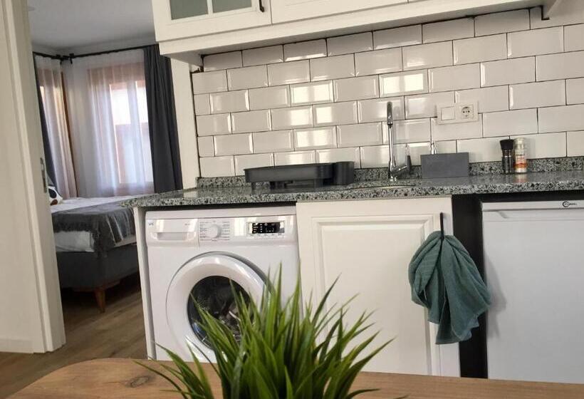 1 Bedroom Deluxe Apartment, Sabah Pansiyon