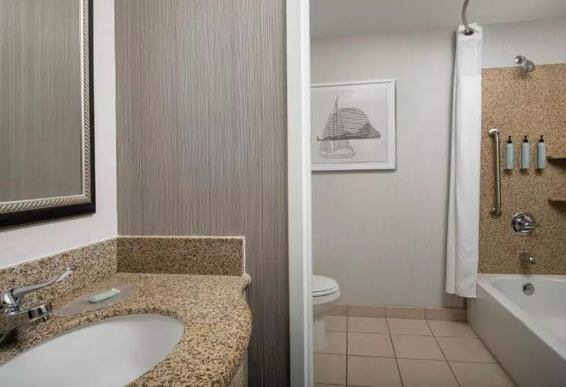 キングサイズベッドのスタンダードルーム, Courtyard By Marriott Seattle Kirkland