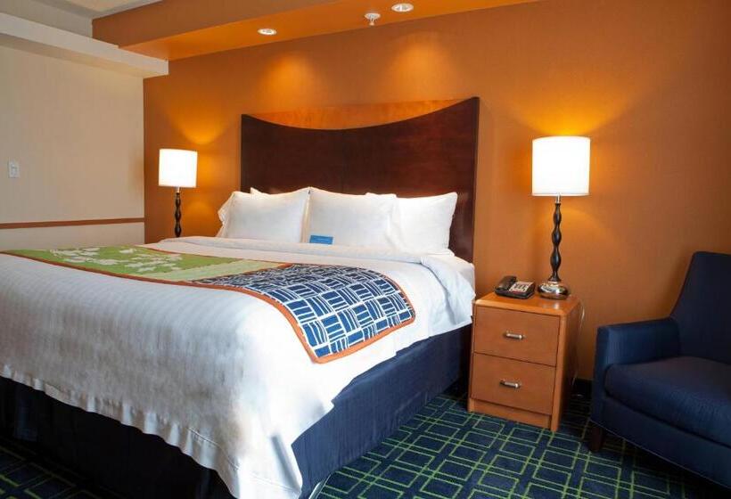 스탠다드 룸 킹사이즈 침대, Fairfield Inn And Suites Flint Fenton