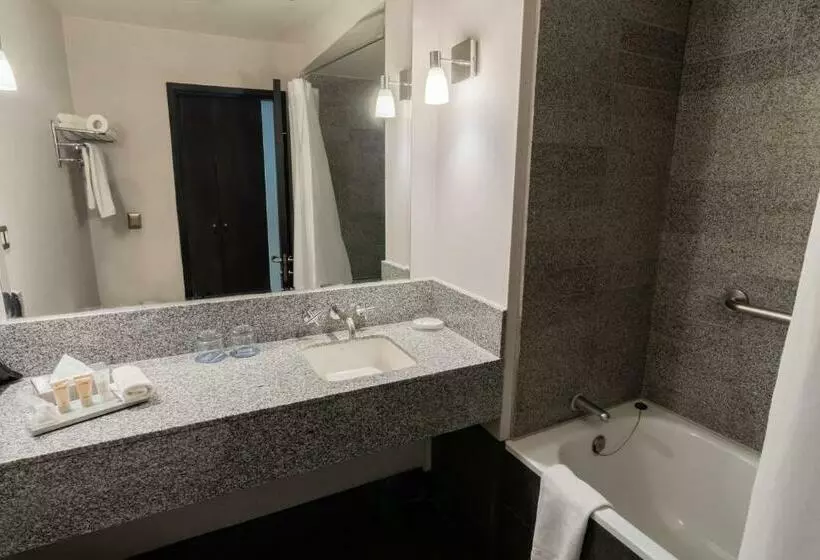 キングサイズベッドのクラシックルーム, Four Points By Sheraton Los Angeles