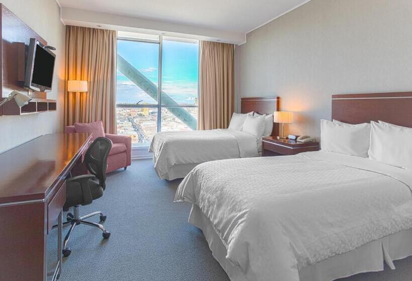 חדר קלאסי, Four Points By Sheraton Los Angeles