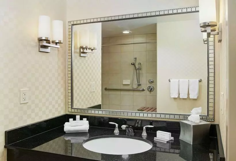 身障者適用スタンダードルーム, Hilton Garden Inn Rockville Gaithersburg