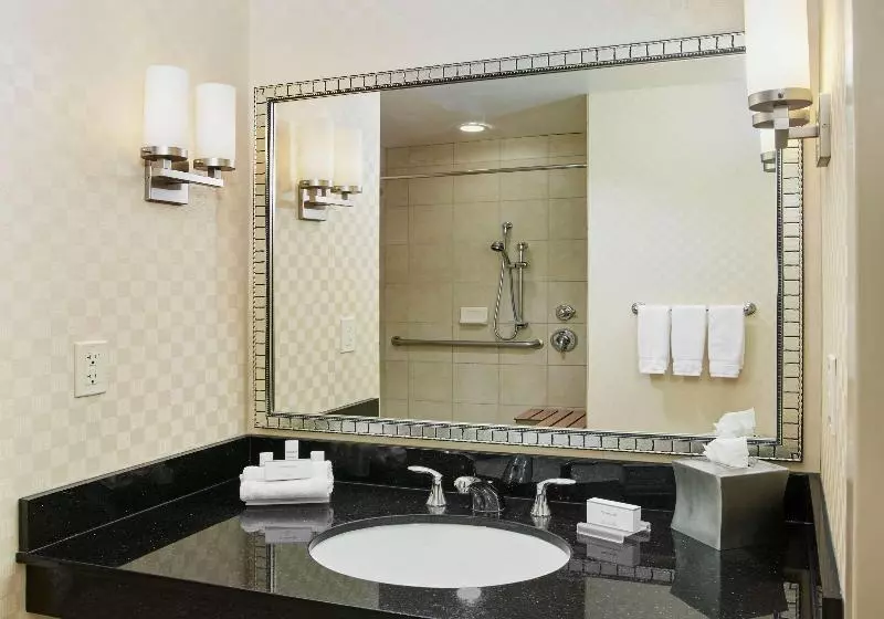 キングサイズベッドのスタンダードルーム, Hilton Garden Inn Rockville Gaithersburg