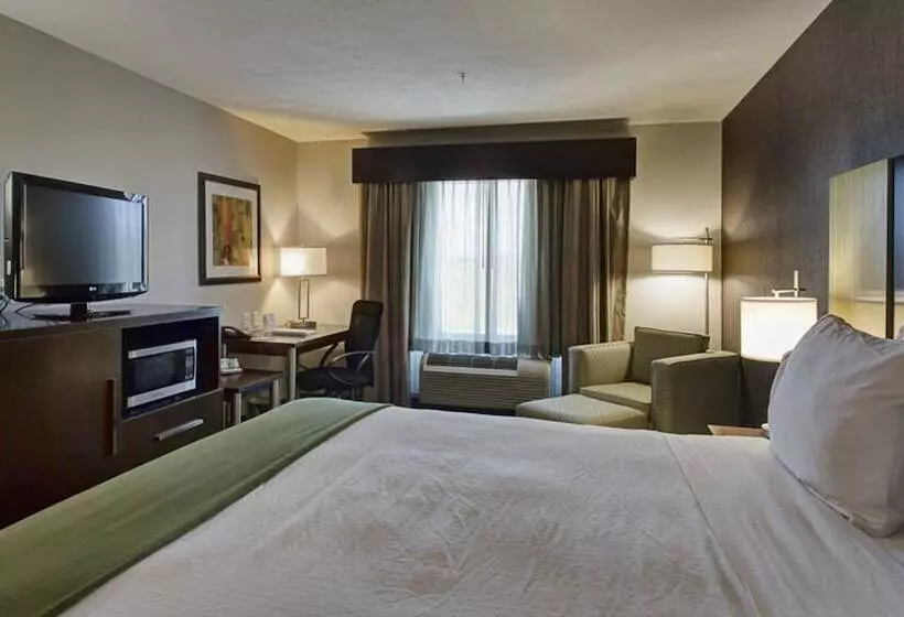 スタンダードルーム, Holiday Inn Express & Suites North Fremont, An Ihg