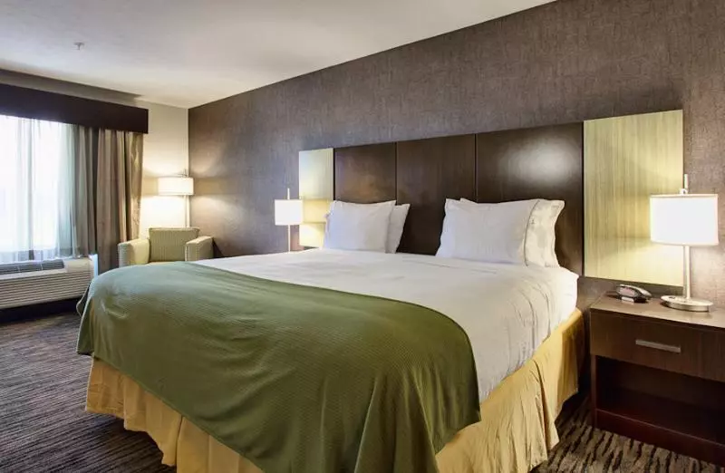 キングサイズベッドのスタンダードルーム, Holiday Inn Express & Suites North Fremont, An Ihg