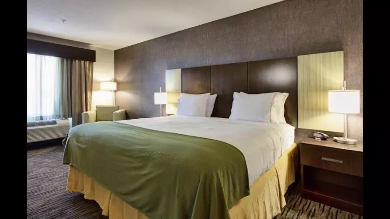キングサイズベッドのスタンダードルーム, Holiday Inn Express & Suites North Fremont, An Ihg