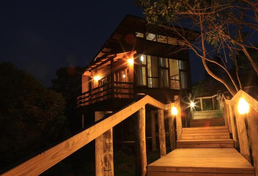 豪华洋房, Eco Hotel Oceanomare