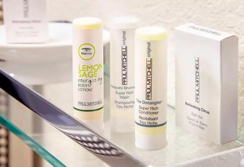 スタンダードスタジオ, Residence Inn Tampa Suncoast Parkway At Northpointe Village