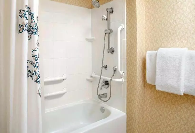 スタンダードスタジオ, Residence Inn Tampa Suncoast Parkway At Northpointe Village