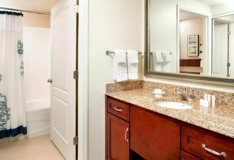 スタンダードスタジオ, Residence Inn Tampa Suncoast Parkway At Northpointe Village