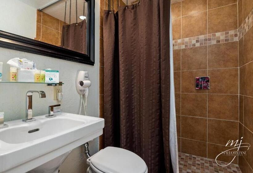 اتاق استاندارد با تخت بزرگ, Seville