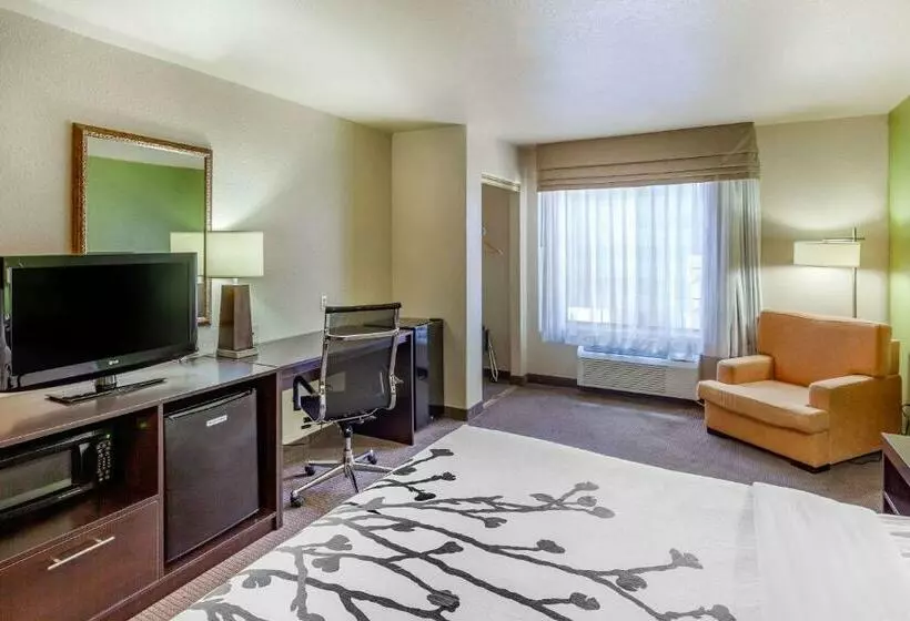 キングサイズベッドのスタンダードルーム, Sleep Inn & Suites Hewitt  South Waco