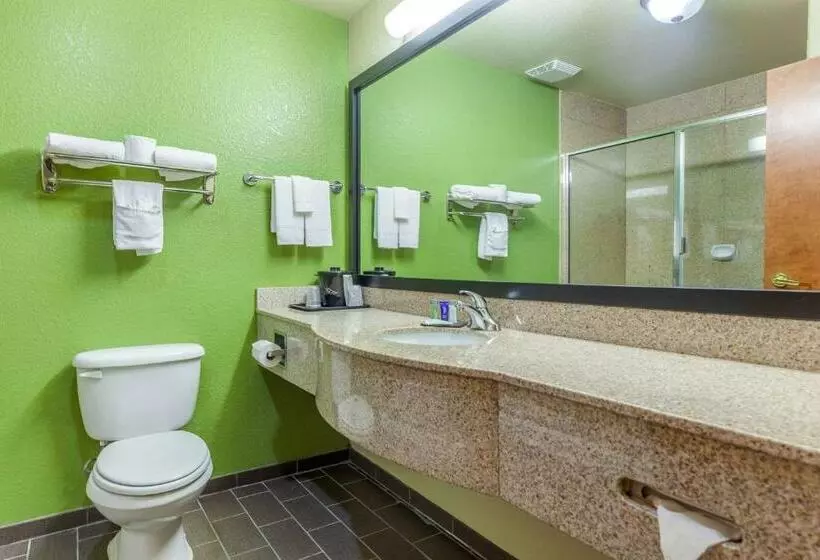 キングサイズベッドのスタンダードルーム, Sleep Inn & Suites Hewitt  South Waco