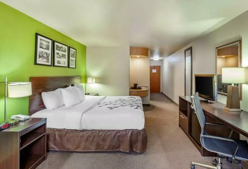 キングサイズベッドのスタンダードルーム, Sleep Inn & Suites Hewitt  South Waco