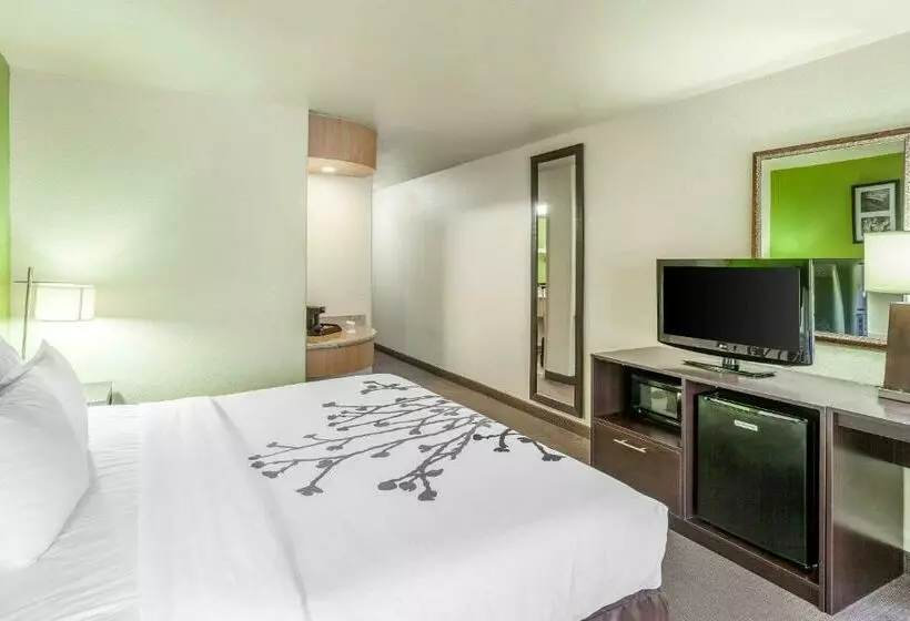 キングサイズベッドのスタンダードルーム, Sleep Inn & Suites Hewitt  South Waco