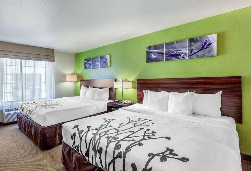 标准间, Sleep Inn & Suites Hewitt  South Waco