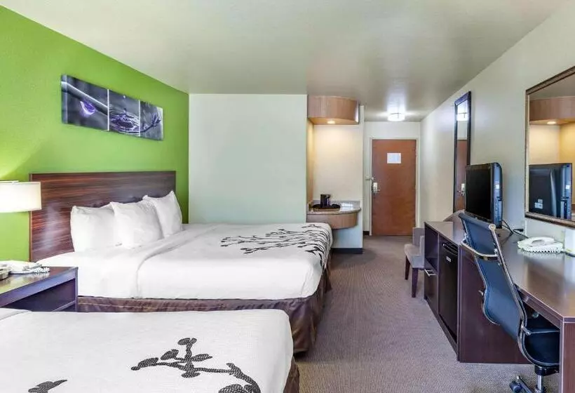 スタンダードルーム, Sleep Inn & Suites Hewitt  South Waco