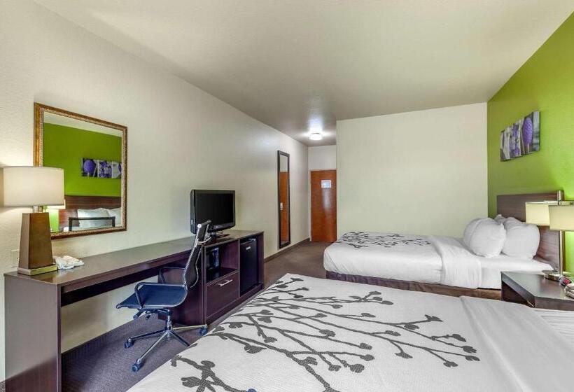 标准间, Sleep Inn & Suites Hewitt  South Waco