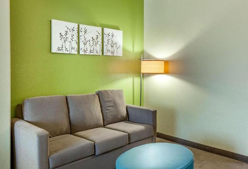 带大床的套房, Sleep Inn & Suites Hewitt  South Waco