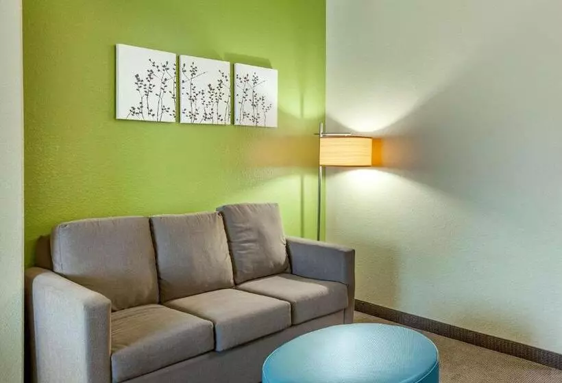 キングサイズベッドのスイートルーム, Sleep Inn & Suites Hewitt  South Waco