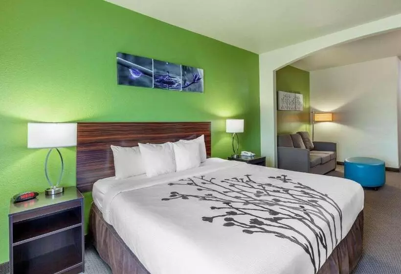 キングサイズベッドのスイートルーム, Sleep Inn & Suites Hewitt  South Waco