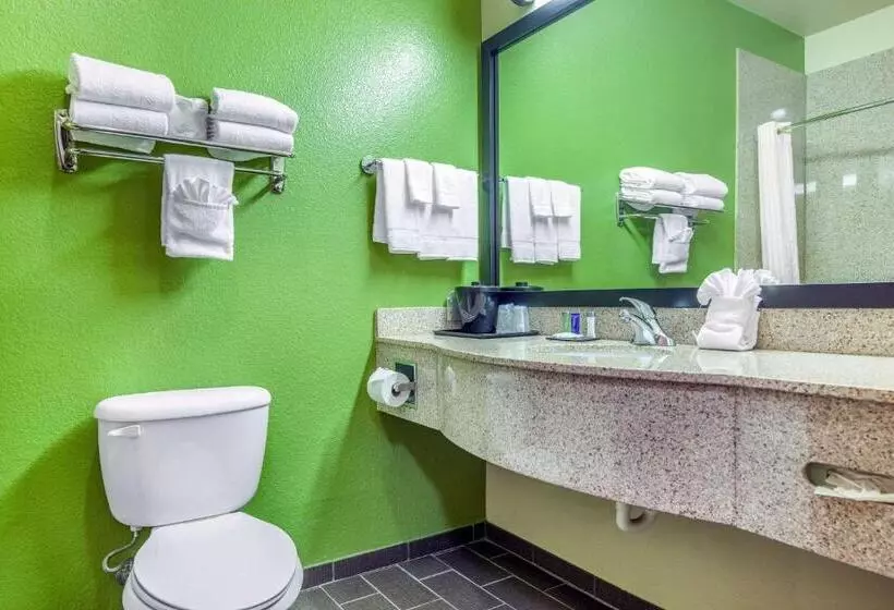 キングサイズベッドのスイートルーム, Sleep Inn & Suites Hewitt  South Waco