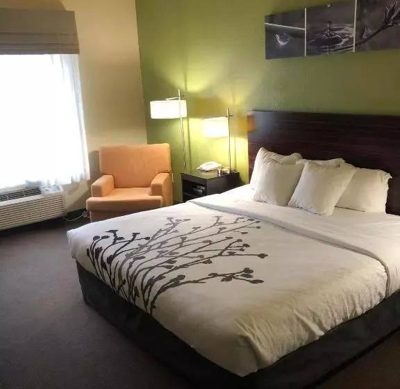 身障者適用キングサイズベッドルーム, Sleep Inn & Suites Hewitt  South Waco