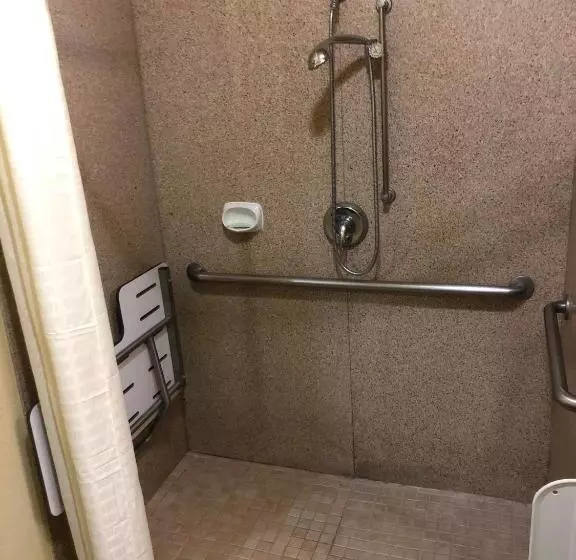 身障者適用キングサイズベッドルーム, Sleep Inn & Suites Hewitt  South Waco
