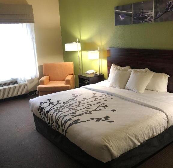 适合残疾人士使用的套间, Sleep Inn & Suites Hewitt  South Waco