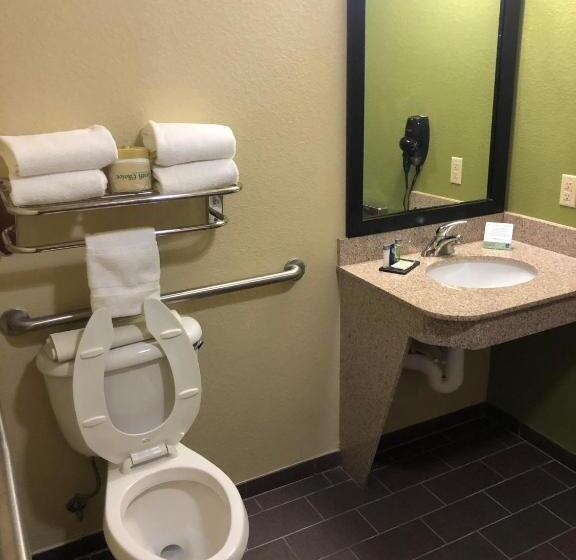 适合残疾人士使用的套间, Sleep Inn & Suites Hewitt  South Waco