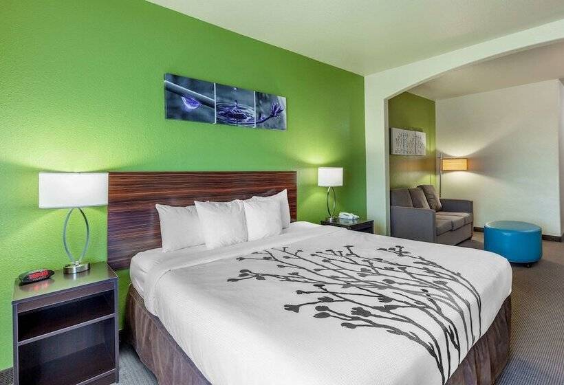 套房, Sleep Inn & Suites Hewitt  South Waco