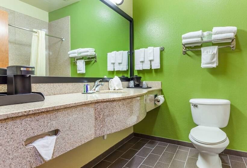 套房, Sleep Inn & Suites Hewitt  South Waco