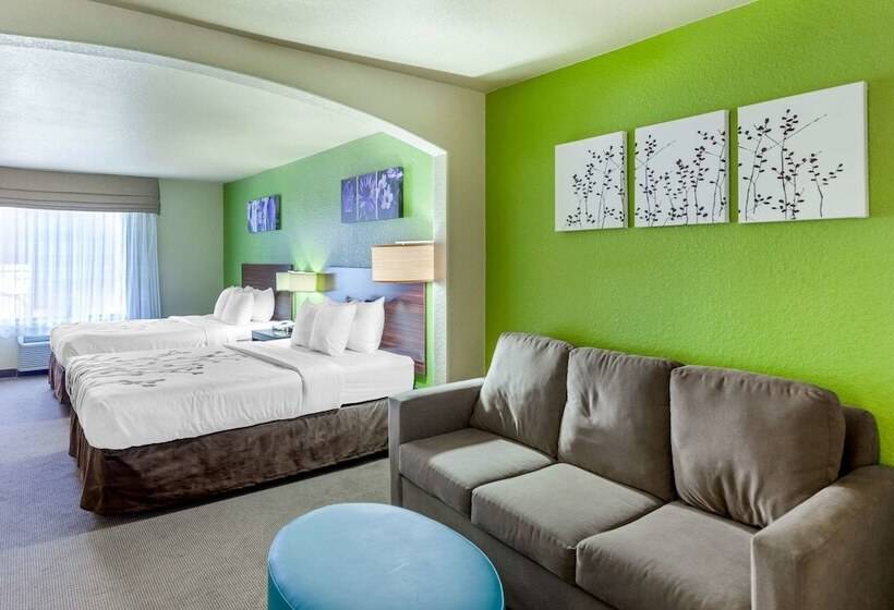 套房, Sleep Inn & Suites Hewitt  South Waco