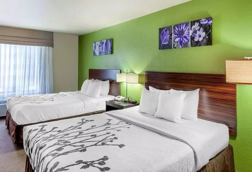 スイート, Sleep Inn & Suites Hewitt  South Waco