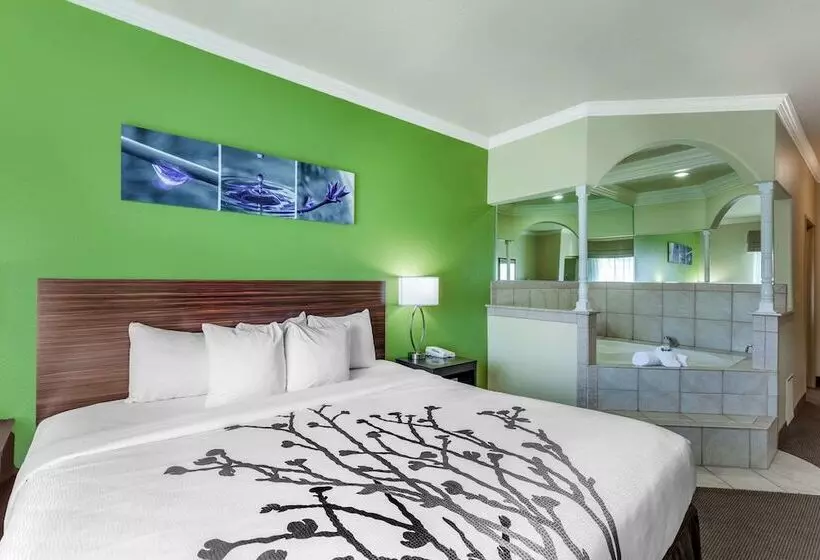 スイート, Sleep Inn & Suites Hewitt  South Waco