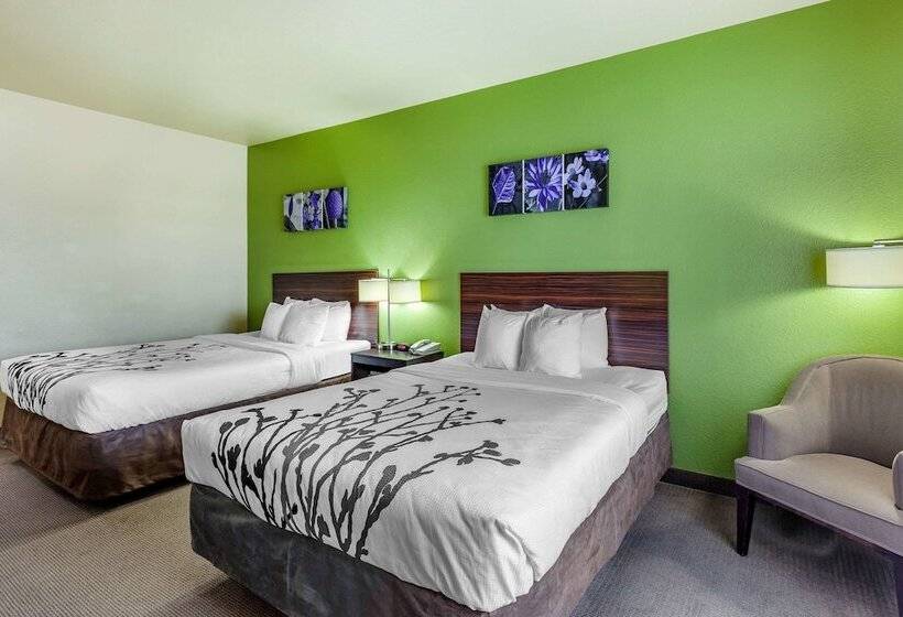 套房, Sleep Inn & Suites Hewitt  South Waco