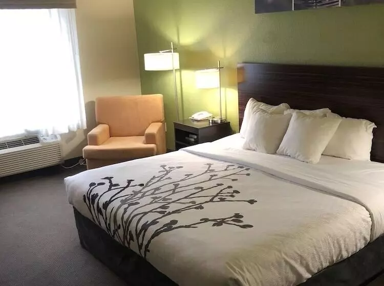 身障者適用スイートルーム, Sleep Inn & Suites Hewitt  South Waco