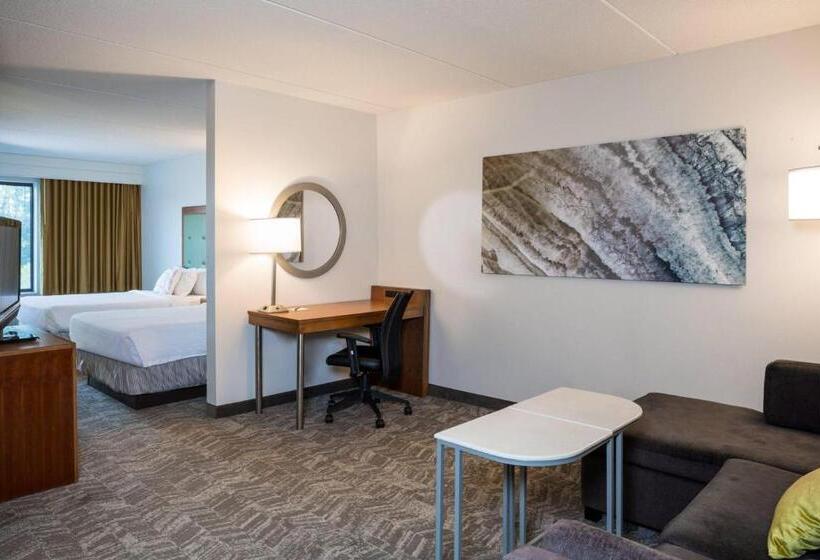 스위트, Springhill Suites Hampton
