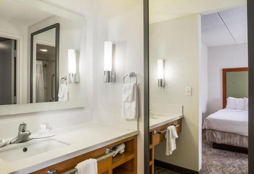 带大床的套房, Springhill Suites Hampton