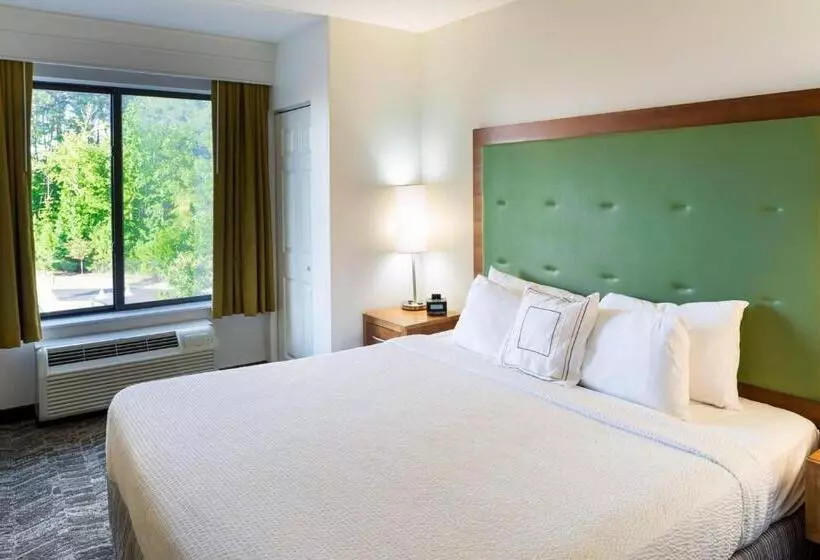 キングサイズベッドのスイートルーム, Springhill Suites Hampton