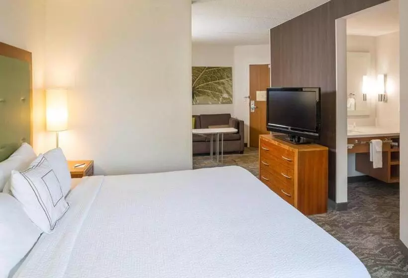 キングサイズベッドのスイートルーム, Springhill Suites Hampton