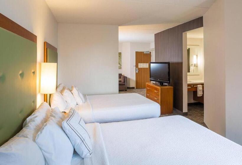 套房, Springhill Suites Hampton