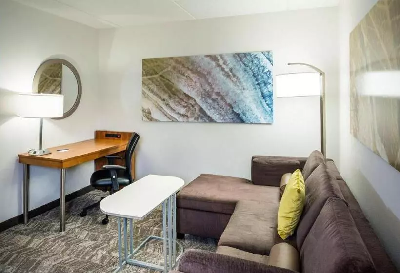 身障者適用スイートルーム, Springhill Suites Hampton