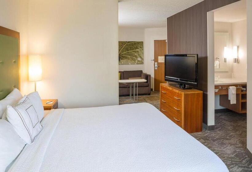 适合残疾人士使用的套间, Springhill Suites Hampton