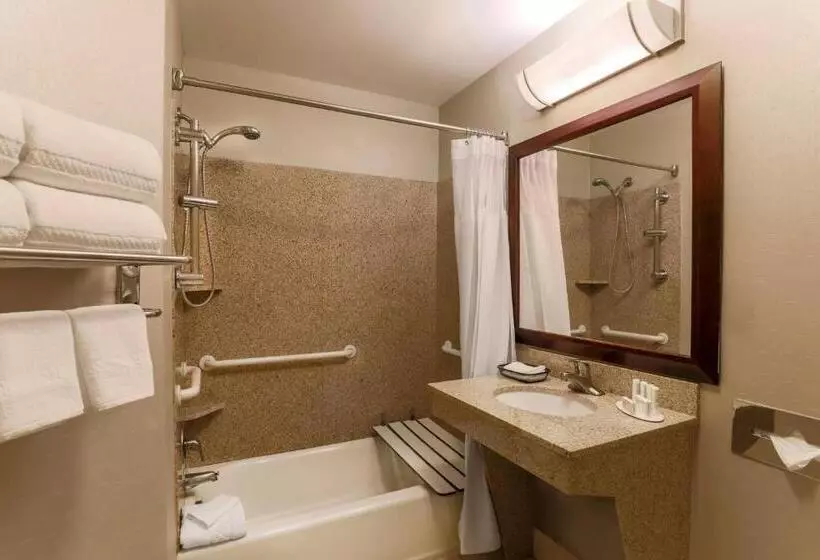 スイート, Springhill Suites Phoenix Glendale Sports & Entertainment District