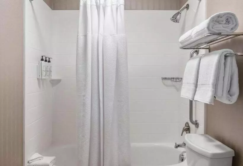 身障者適用スイートルーム, Springhill Suites Phoenix Glendale Sports & Entertainment District