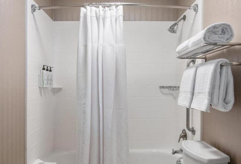 Люкс Адаптированный для Инвалидов, Springhill Suites Phoenix Glendale Sports & Entertainment District