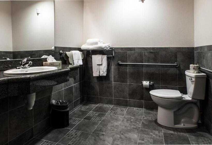 غرفة قياسية سرير كينج لذوى الإحتياجات الخاصة, The Mill Casino